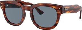 Lunettes de soleil MEGA HAWKEYE RB0298S 954-62