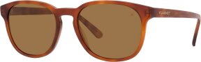 Lunettes de soleil BELVEDERE 02 VU40011I5453H2622