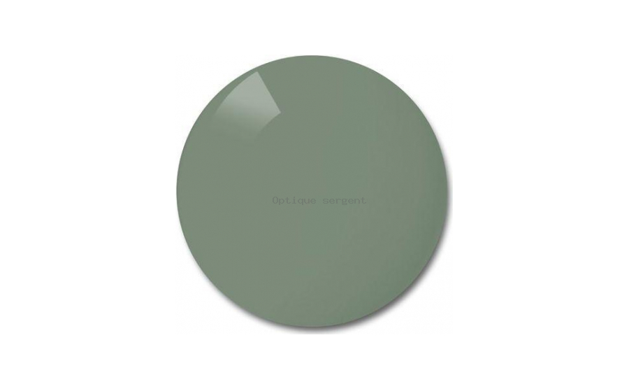 Polycarbonate polar green miroir silver Y4